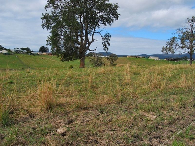 Lot 22 Strawberry Road, Warrell Creek NSW 2447