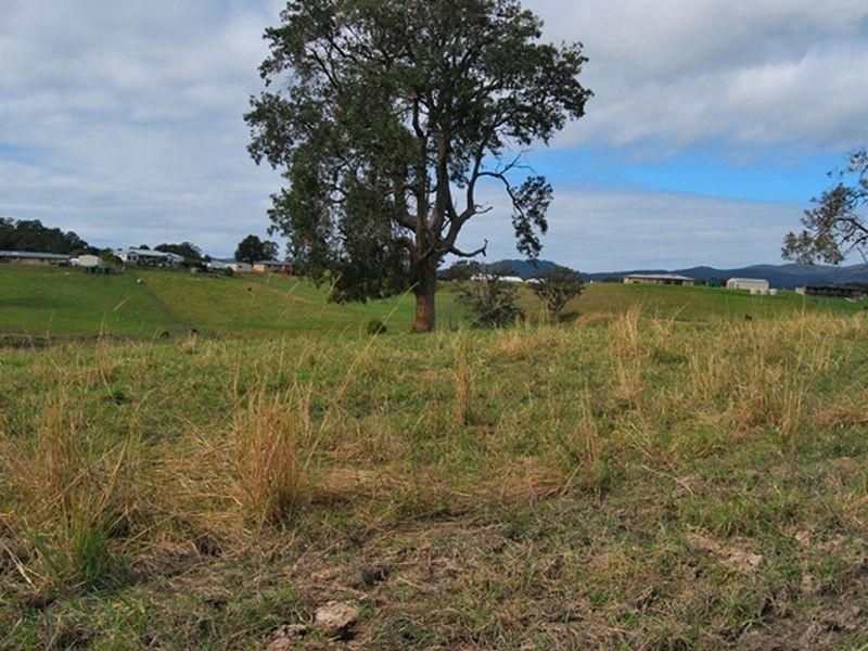 Lot 22 Strawberry Road, Warrell Creek NSW 2447
