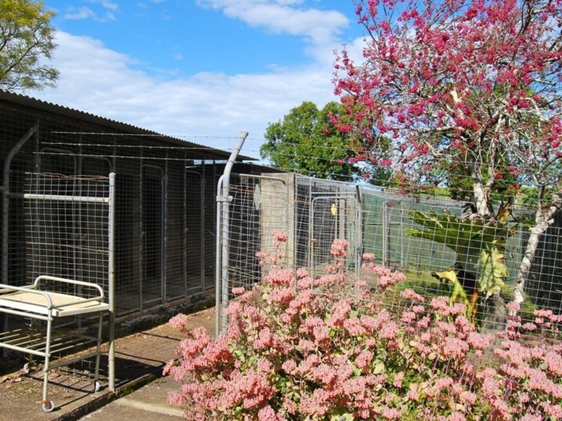 197 Missabotti Road, Missabotti NSW 2449