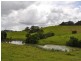 427 Welshes Creek Road; Talarm via, Macksville NSW 2447