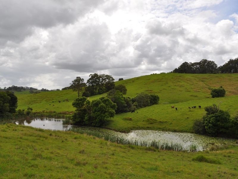 427 Welshes Creek Road; Talarm via, Macksville NSW 2447