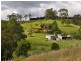 427 Welshes Creek Road; Talarm via, Macksville NSW 2447