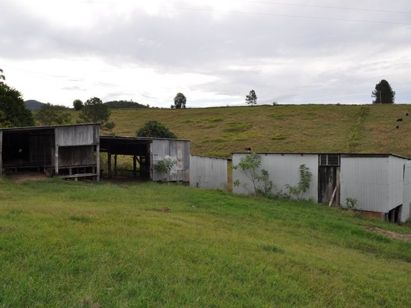 427 Welshes Creek Road; Talarm via, Macksville NSW 2447