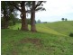 427 Welshes Creek Road; Talarm via, Macksville NSW 2447