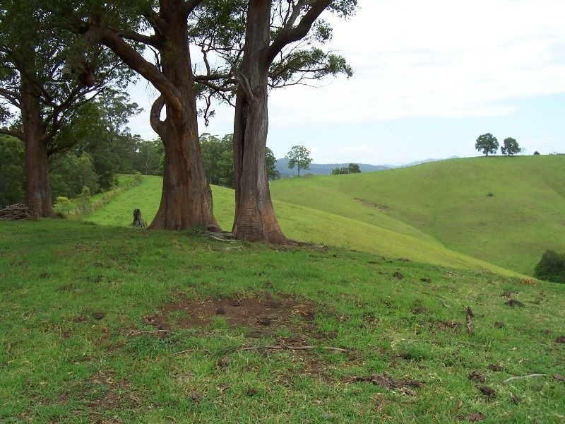 427 Welshes Creek Road; Talarm via, Macksville NSW 2447