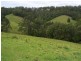 427 Welshes Creek Road; Talarm via, Macksville NSW 2447