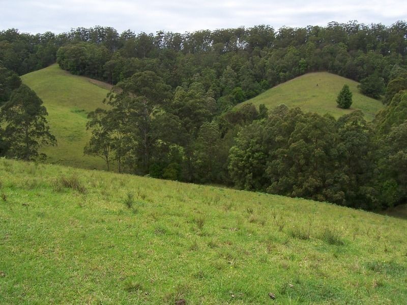 427 Welshes Creek Road; Talarm via, Macksville NSW 2447