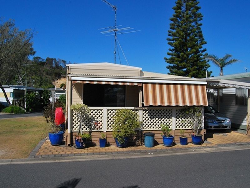 Y2 White Albatross Park, Nambucca Heads NSW 2448