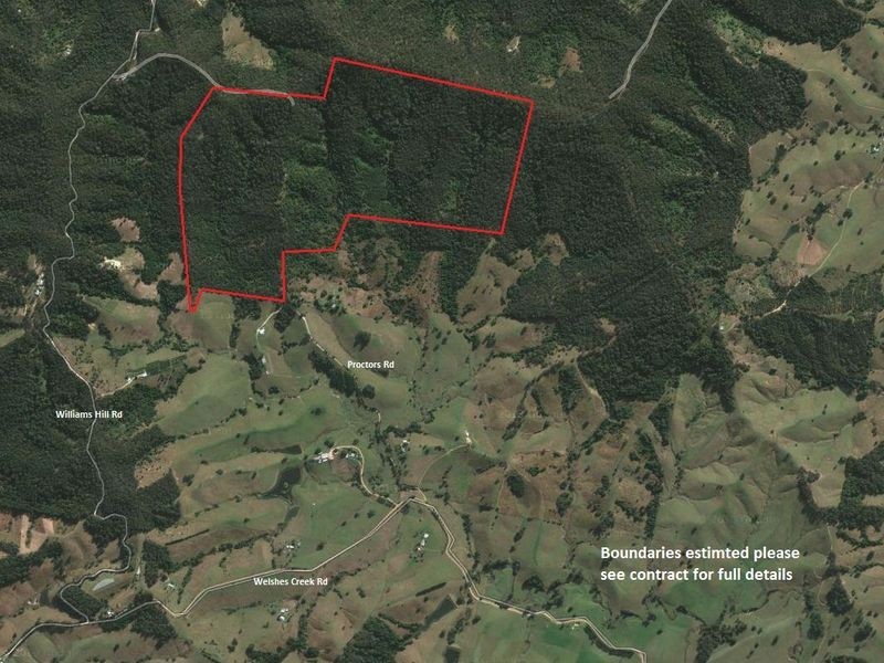 100 Proctors Road, Talarm NSW 2447