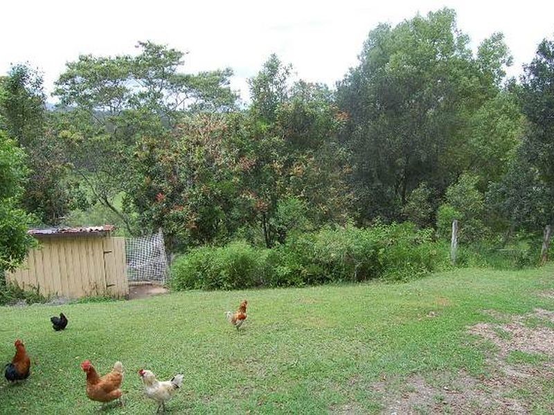 79 Talarm Road, Talarm NSW 2447