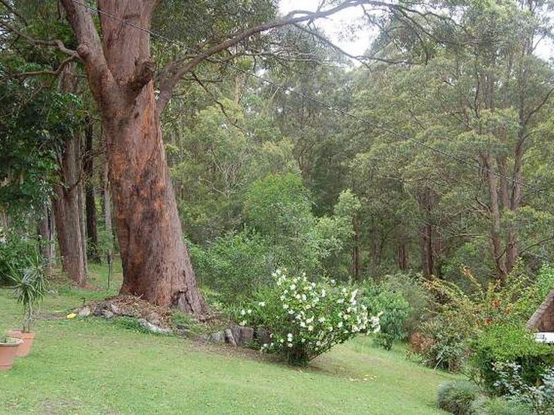 79 Talarm Road, Talarm NSW 2447