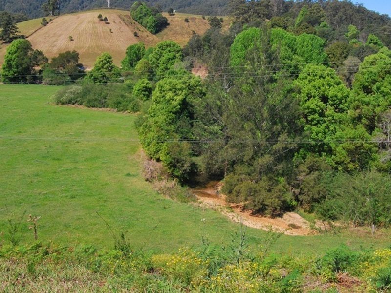 698 Missabotti Rd, Missabotti NSW 2449