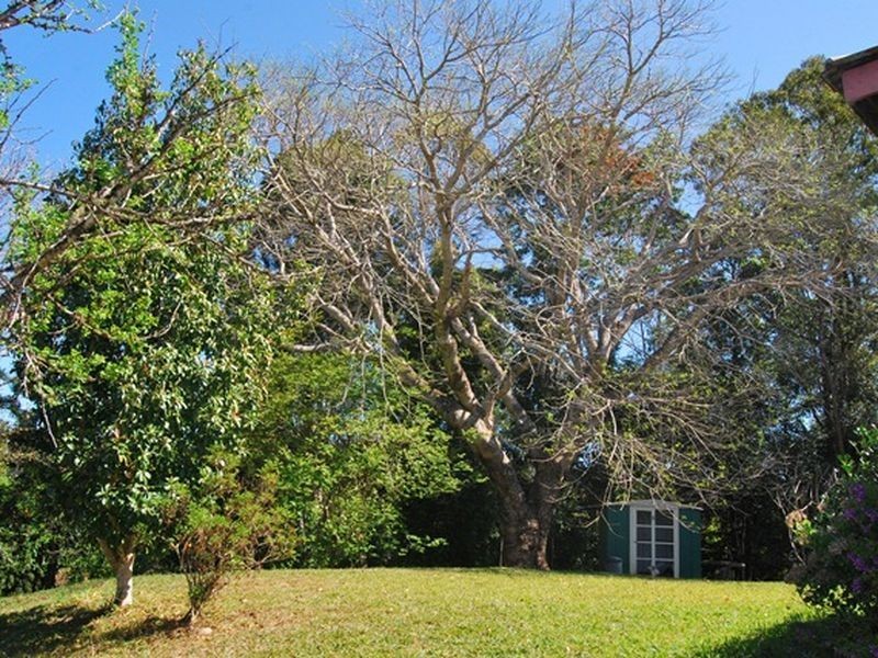 698 Missabotti Rd, Missabotti NSW 2449