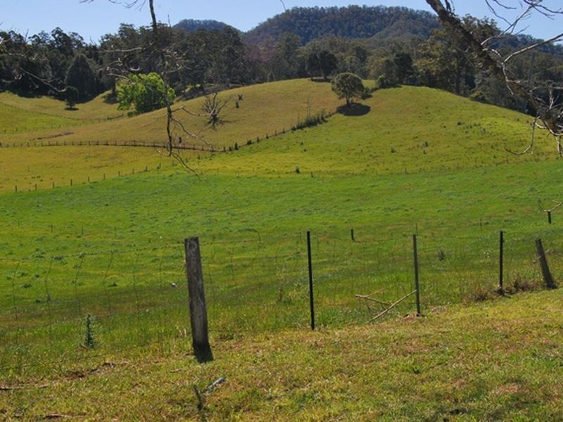 698 Missabotti Rd, Missabotti NSW 2449