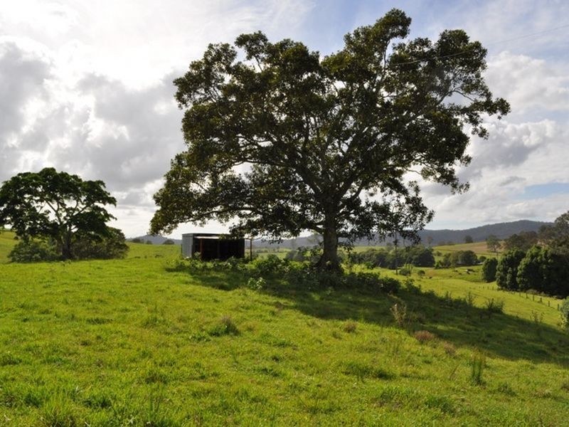 121 Whites Road, Yarranbella NSW 2447