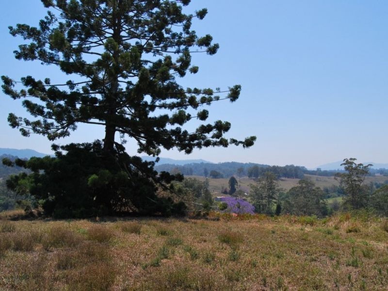 LOT 21 Lower Buckrabendinni Road, Bowraville NSW 2449