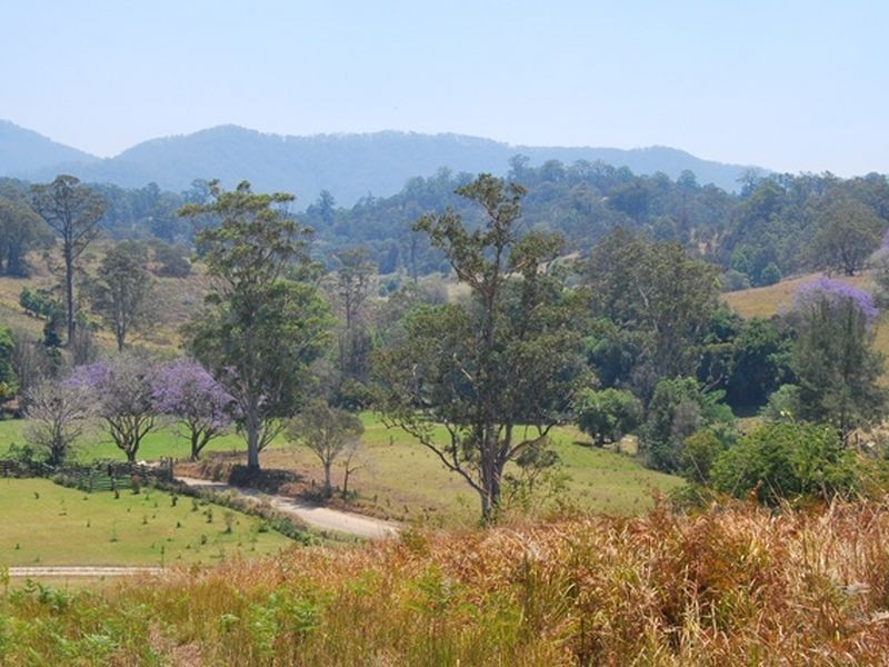 LOT 21 Lower Buckrabendinni Road, Bowraville NSW 2449