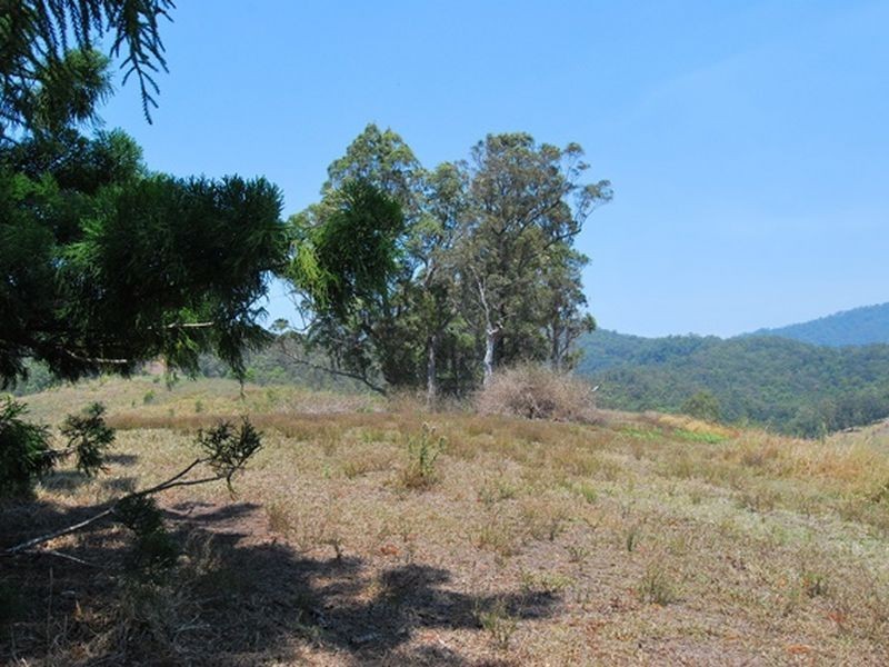 LOT 21 Lower Buckrabendinni Road, Bowraville NSW 2449