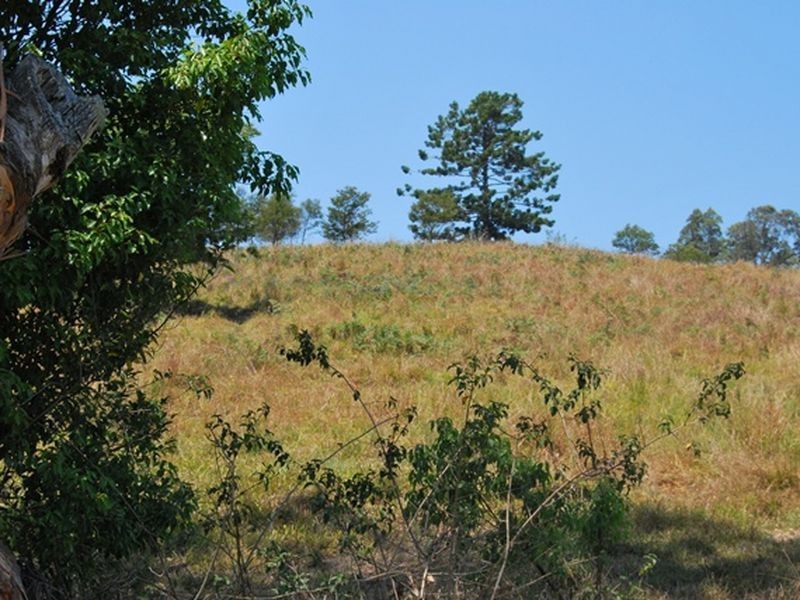 LOT 21 Lower Buckrabendinni Road, Bowraville NSW 2449