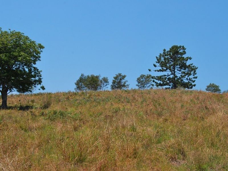 LOT 21 Lower Buckrabendinni Road, Bowraville NSW 2449