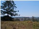 LOT 21 Lower Buckrabendinni Road, Bowraville NSW 2449