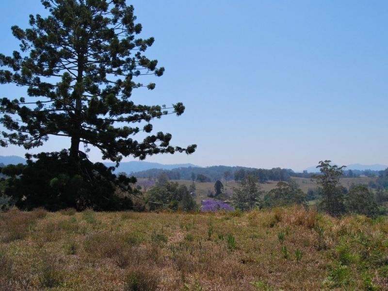 LOT 21 Lower Buckrabendinni Road, Bowraville NSW 2449
