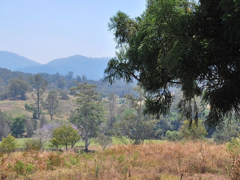 LOT 21 Lower Buckrabendinni Road, Bowraville NSW 2449