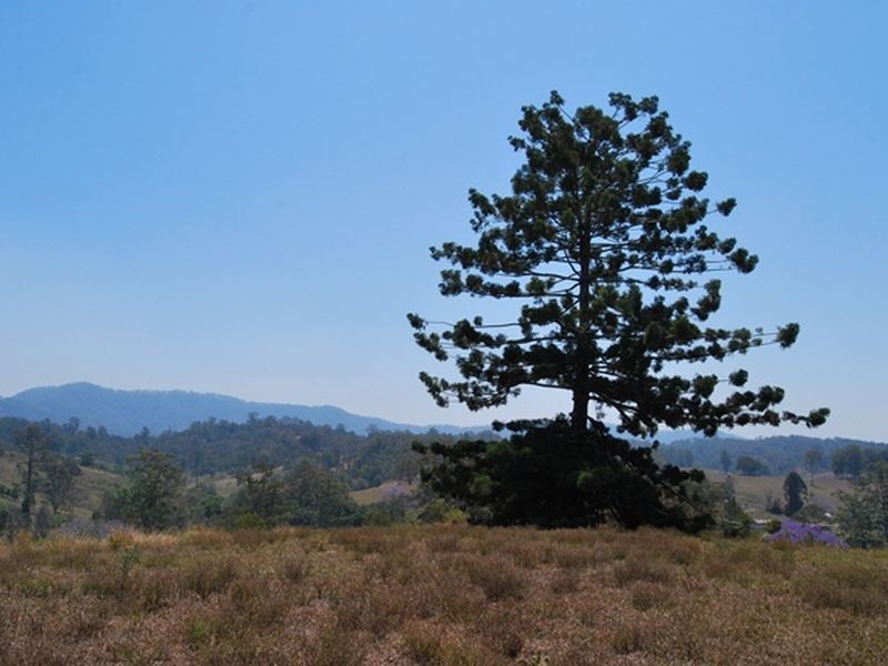 LOT 21 Lower Buckrabendinni Road, Bowraville NSW 2449