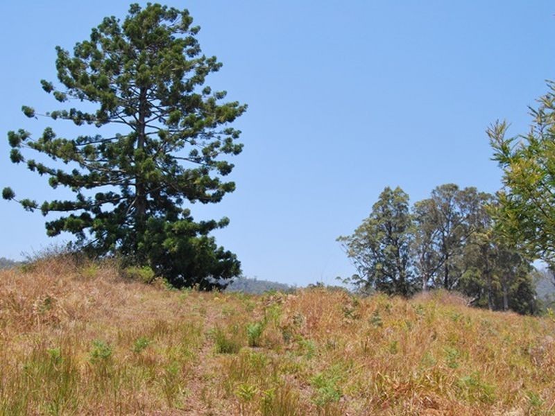 LOT 21 Lower Buckrabendinni Road, Bowraville NSW 2449