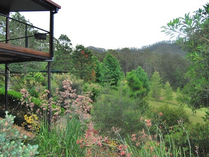 697 Bellingen Road, Missabotti NSW 2449