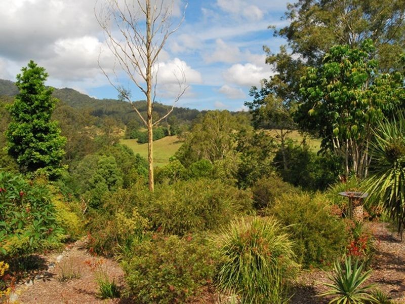 697 Bellingen Road, Missabotti NSW 2449