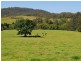 1226 Taylors Arm Road, Utungun NSW 2447