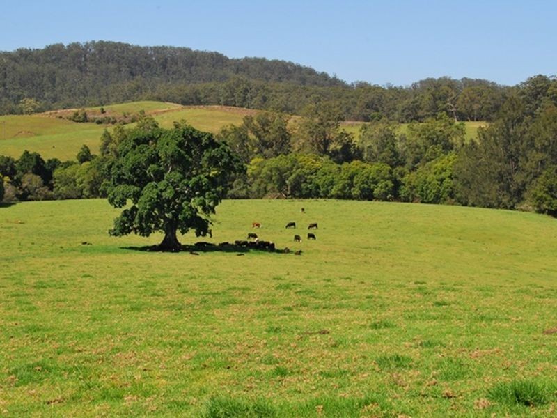 1226 Taylors Arm Road, Utungun NSW 2447