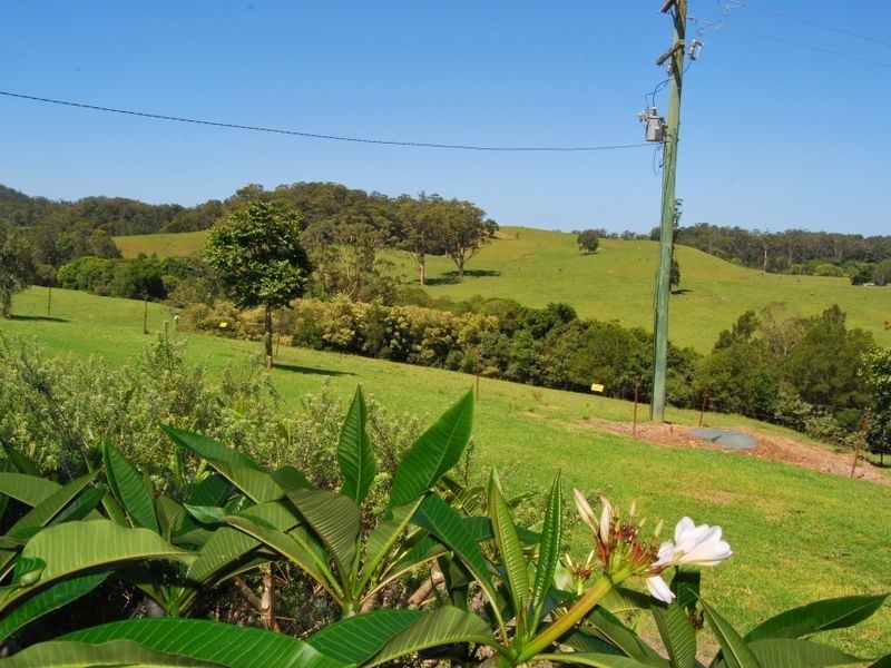 1226 Taylors Arm Road, Utungun NSW 2447