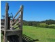 1226 Taylors Arm Road, Utungun NSW 2447