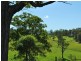 1226 Taylors Arm Road, Utungun NSW 2447