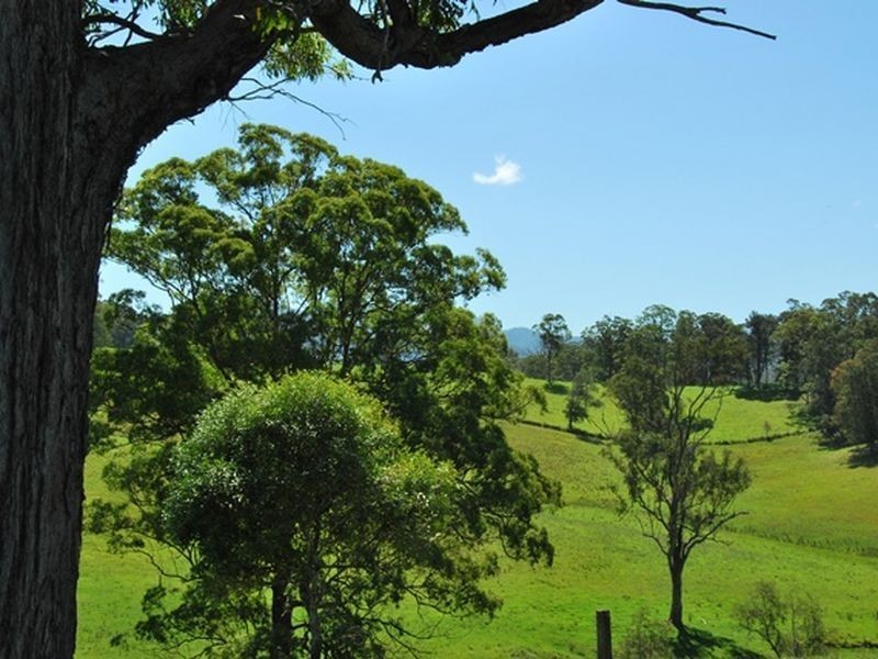 1226 Taylors Arm Road, Utungun NSW 2447