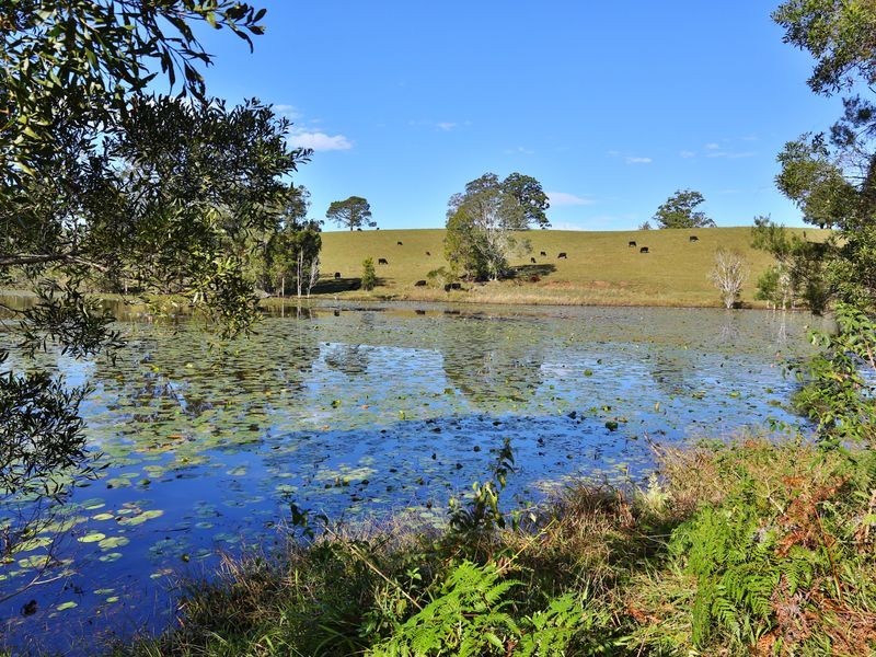 207 Florence Wilmont Drive, Nambucca Heads NSW 2448