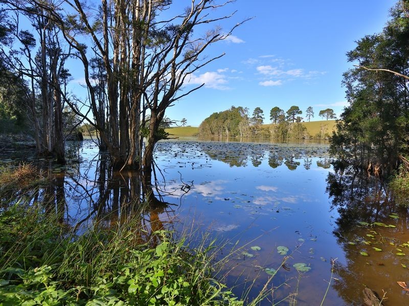 207 Florence Wilmont Drive, Nambucca Heads NSW 2448