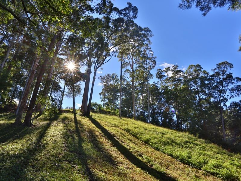 207 Florence Wilmont Drive, Nambucca Heads NSW 2448