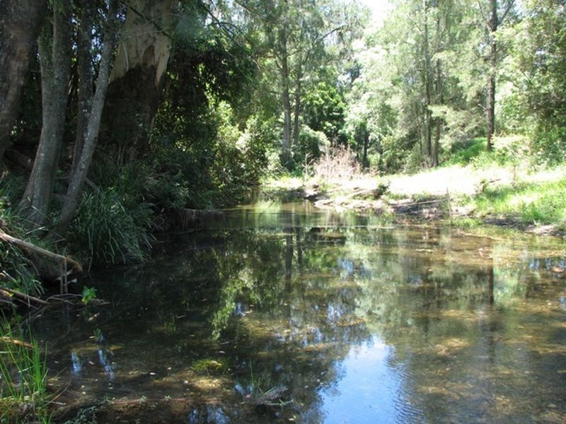 1160 South Arm Road, Bowraville NSW 2449