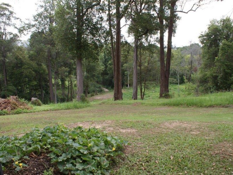 6 London Lane, Congarinni NSW 2447