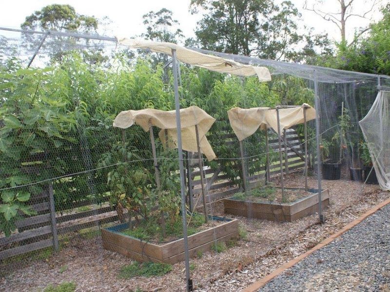 6 London Lane, Congarinni NSW 2447