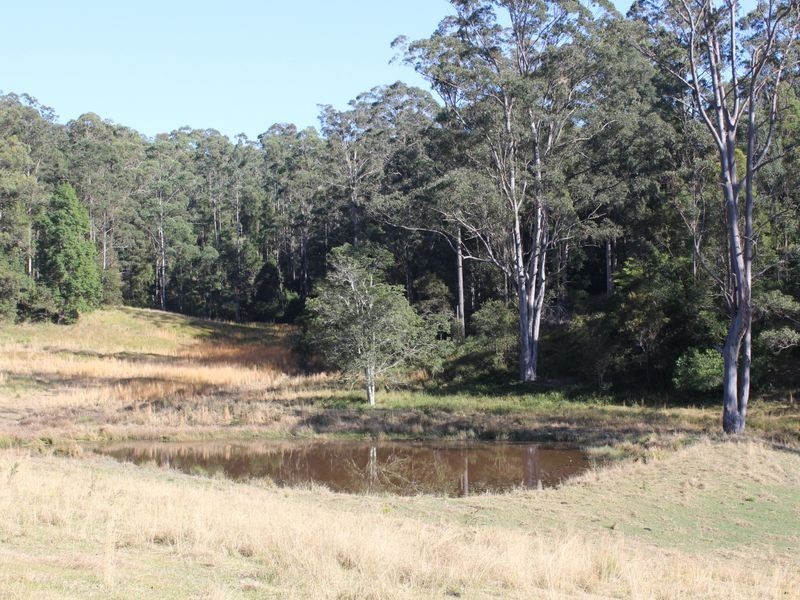 328 Searles Road, Tamban NSW 2441