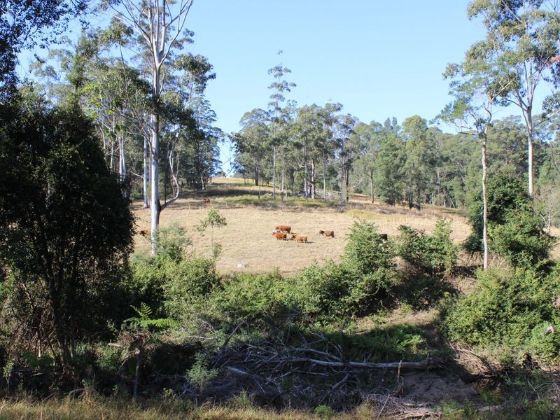 328 Searles Road, Tamban NSW 2441