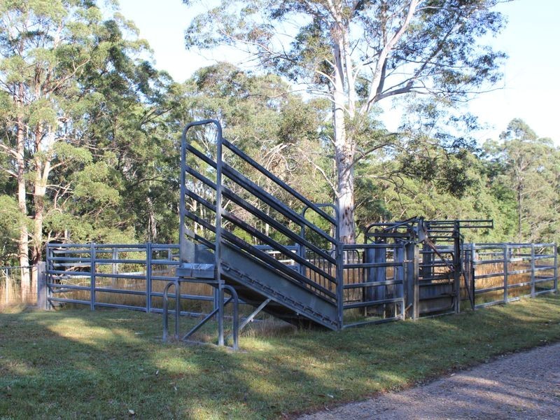 328 Searles Road, Tamban NSW 2441