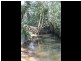 328 Searles Road, Tamban NSW 2441