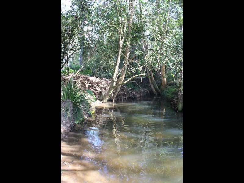 328 Searles Road, Tamban NSW 2441