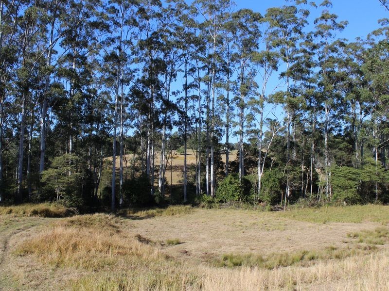 328 Searles Road, Tamban NSW 2441