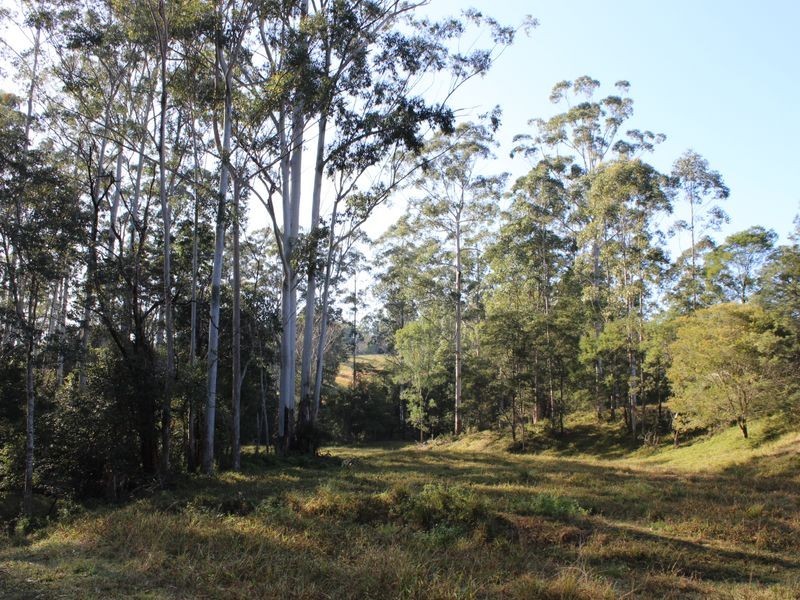 328 Searles Road, Tamban NSW 2441